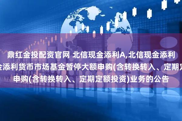 鼎红金投配资官网 北信现金添利A,北信现金添利B: 关于北信瑞丰现金添利货币市场基金暂停大额申购(含转换转入、定期定额投资)业务的公告